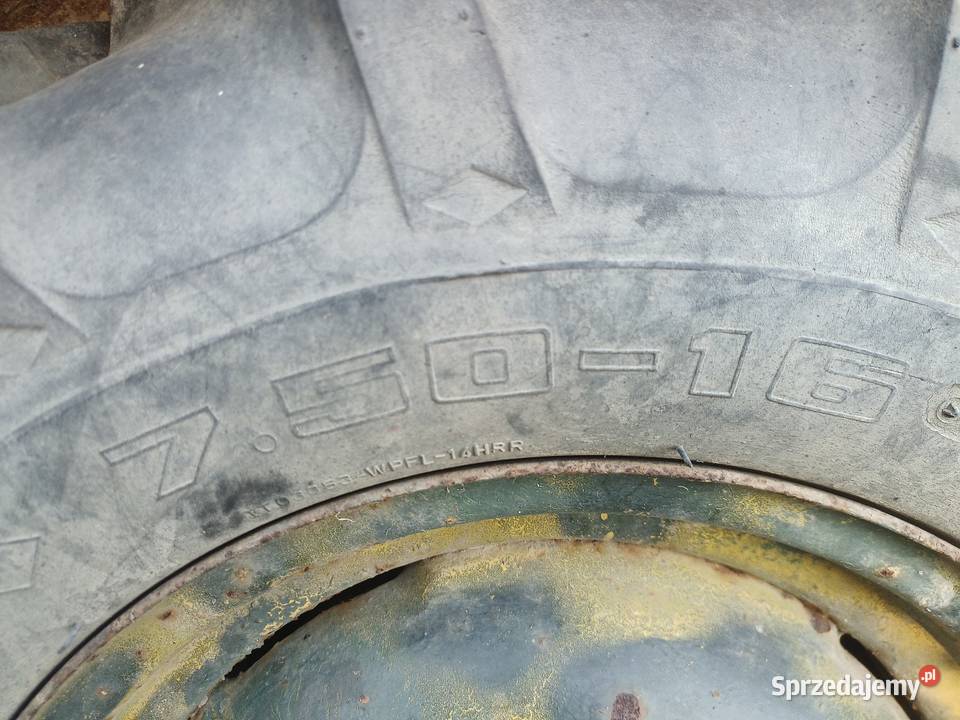 Koła 75016 Dębica jodełka sam es Włosienica