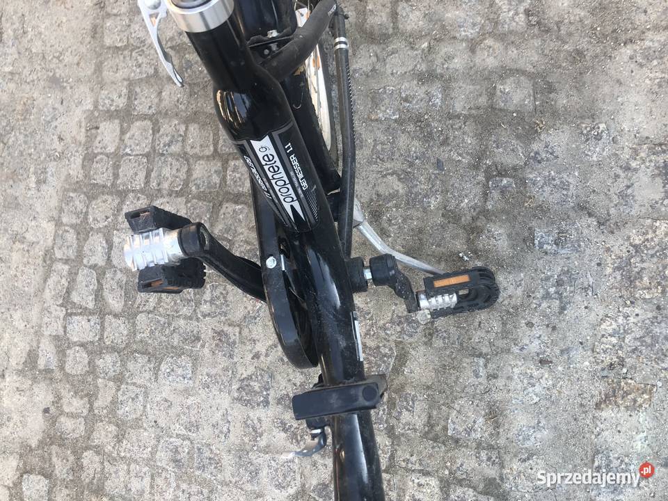 rower składany prophete Granica