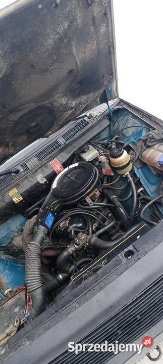 FSO Polonez truck 16cm3 Aniołowo sprzedam