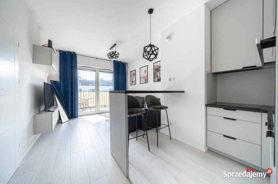 Mieszkanie Poznań 3017m2 2pokojowe Sprzedaż sprzedam