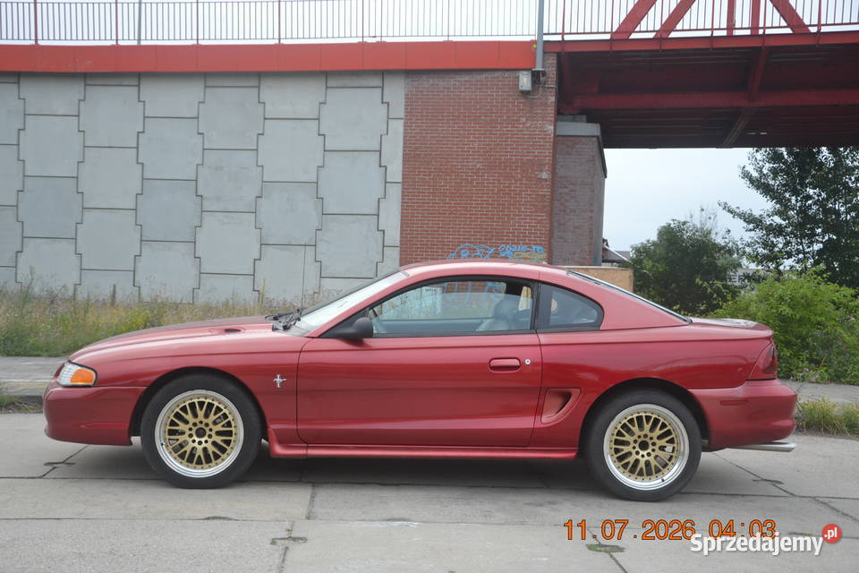 Ford Mustang SN95 50 V8 Mustang Samochody osobowe pomorskie Gdańsk