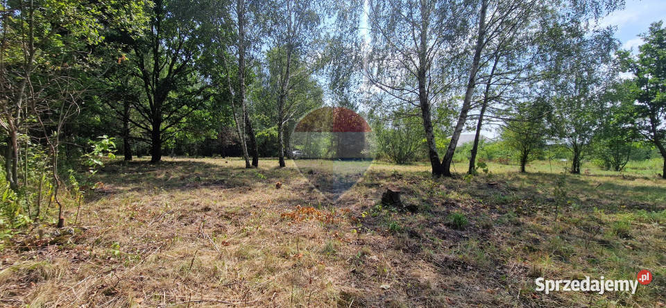 Działka z potencjałem budowlanym 1426 m Bielicha 35m
