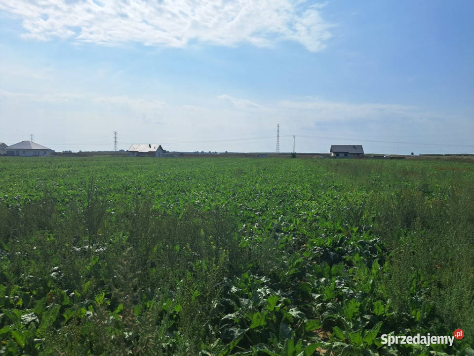 Uzbrojona działka Gm Puchaczów budowlana Sprzedaż