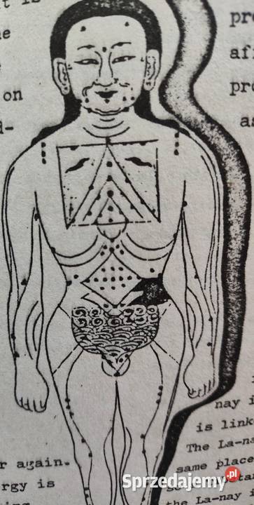 Medycyna tybetańska Olsztyn sprzedam