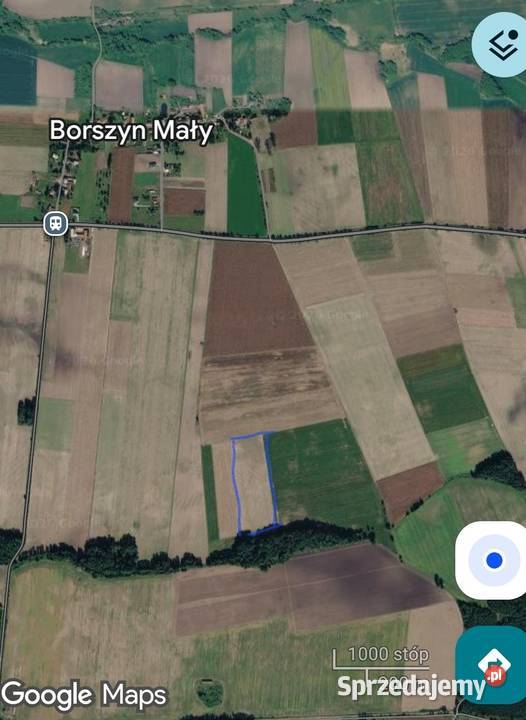 Sprzedam działkę rolną 31199m2 Borszyn Mały