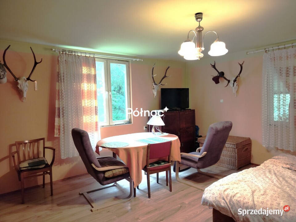 piękne ranczo z łąką i lasem pod HoryńcemZdrojem Dziewięcierz