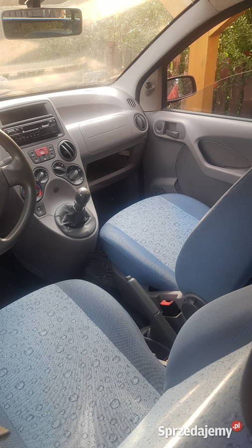 Fiat Panda 11 Active Alaska lubuskie Zielona Góra