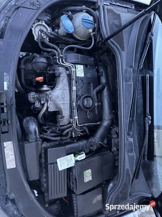 Audi a3 8p 2/3 Piecki