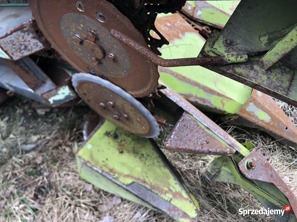 Claas Jaguar Adapter 6 rzędowy dolnośląskie Szklarnia
