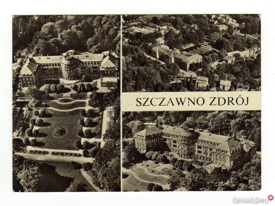 SZCZAWNO ZDRÓJ POCZÓWKA CZARNO BIAŁA Antyki, Sztuka, Kolekcje Krynki