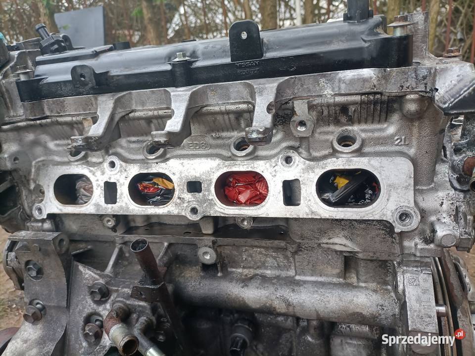 Nissan Qashqai 20 Stargard