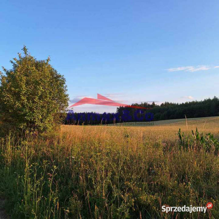 Ogłoszenie działka Strzelniki 30m Sprzedaż