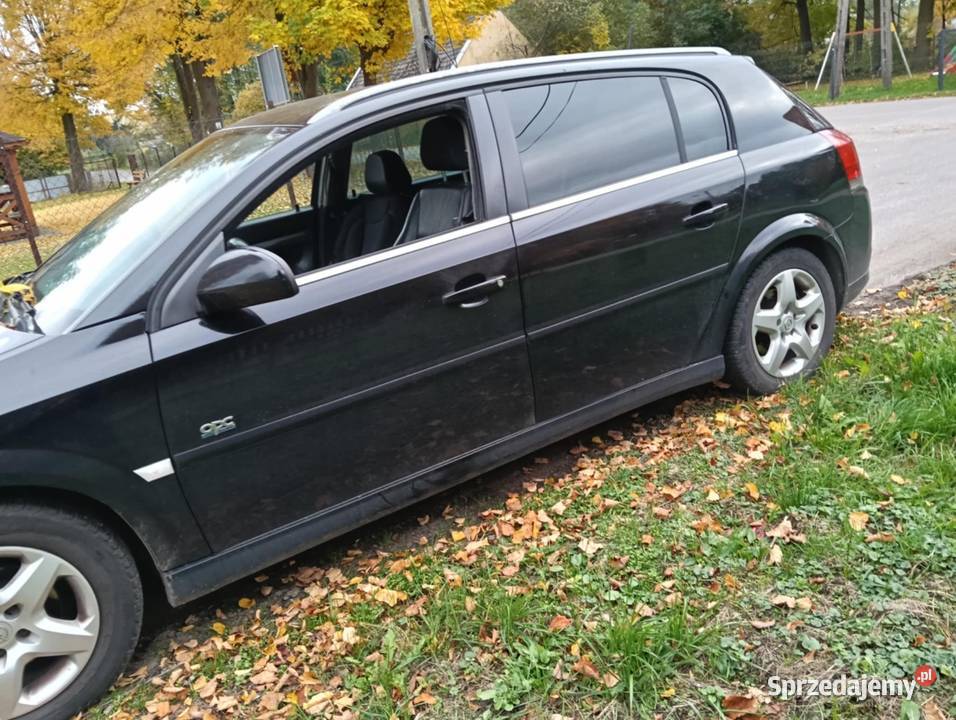 Opel Signum 19 120 120KM Ćmielów