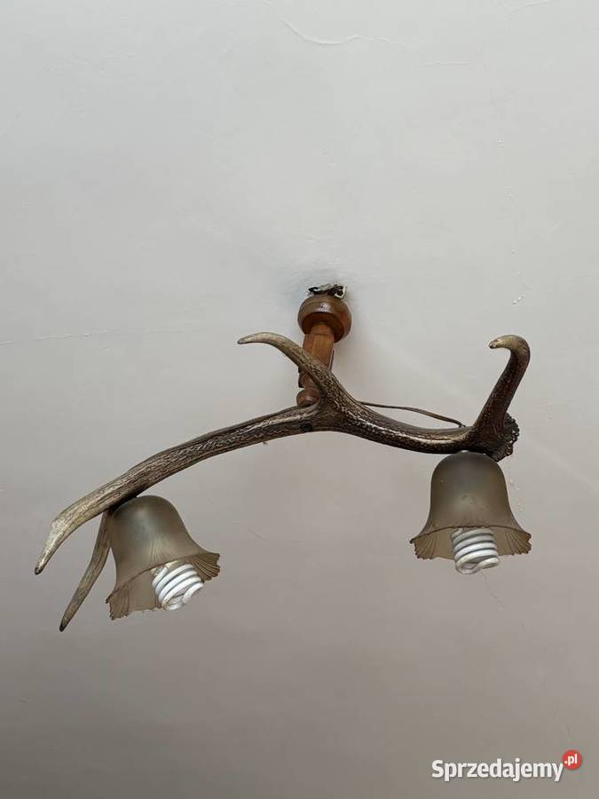 Lampa z poroża Proszowice