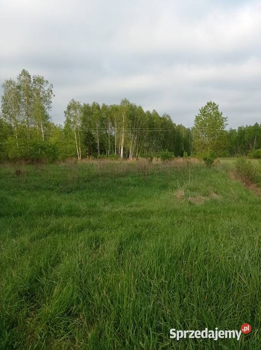 Sprzedam działkę rolną 30 arów rolna Sarzyna