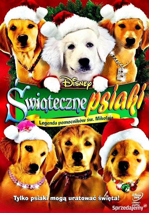 ŚWIĄTECZNE PSIAKI DISNEY GALAPAGOS Kalisz