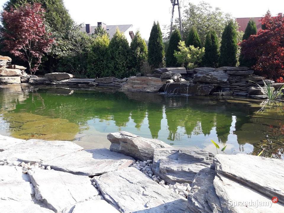 księżycowy łupek wielkopłytowy Księżyce