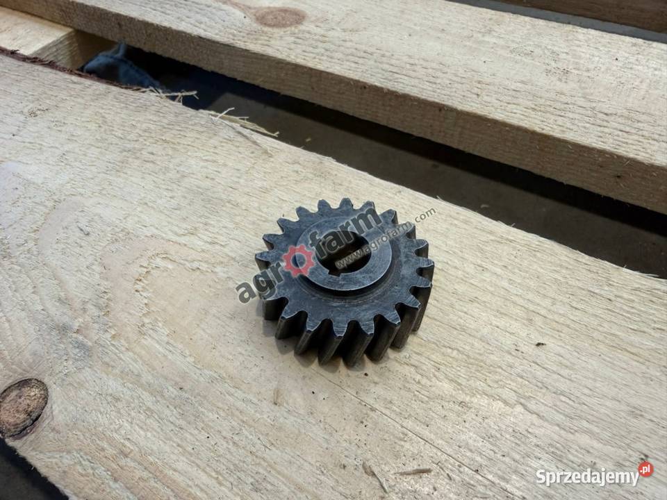 Koło zębate Z20 Case 1255XL dolnośląskie Byków