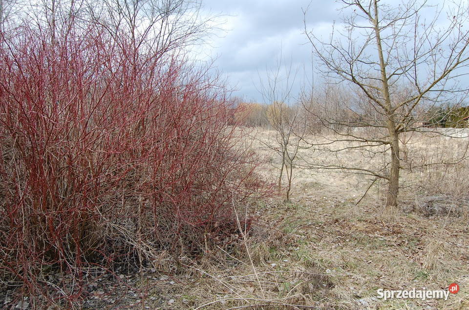 Będzin Zamkowe Orkana Działka budowlana 1214 m2