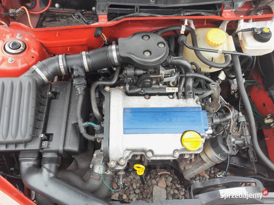 Corsa 10 99 na graty Gorzów Wielkopolski