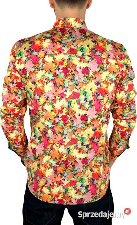 DANIEL BESSI Koszula Męska Fb061 Kolorowa LIŚCIE wielkopolskie Ostrów Wielkopolski