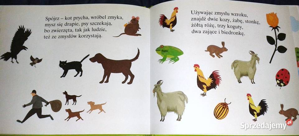 Abc uczę się 4 części Małgorzata Strzałkowska Książki i Podręczniki lubelskie Chełm sprzedam