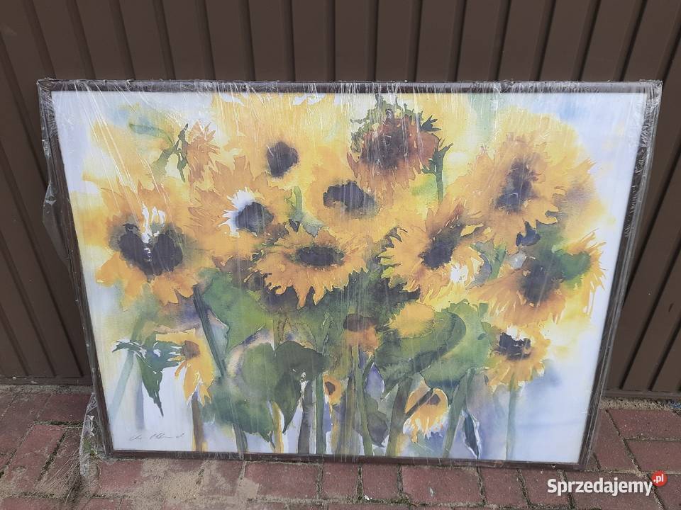 Obraz słoneczniki duży Obrazki i obrazy Ksawerów sprzedam