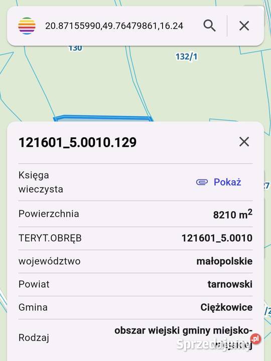 Działka z lasem 082ar Siekierczyna