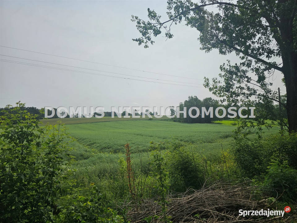 sprzedaży działki GałkówekParcela 3220m2 gaz Gałkówek-Parcela sprzedam