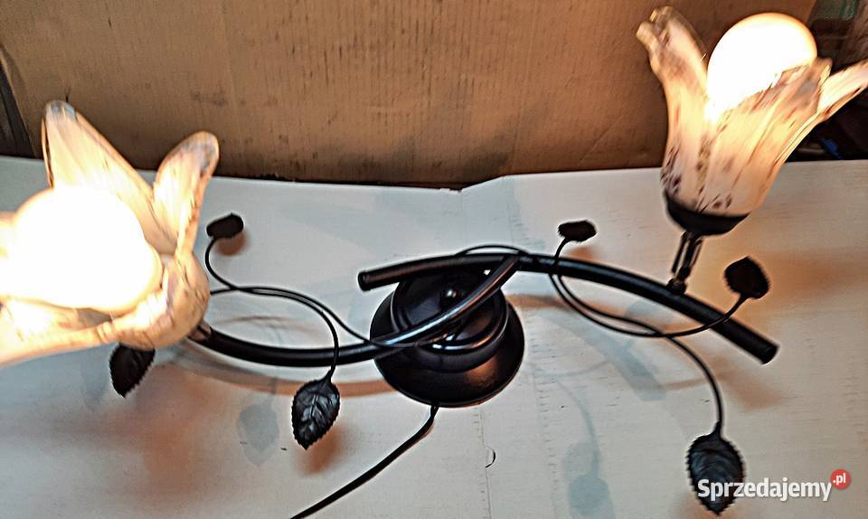 Żyrandol lampa sufitowa 2 x E 40 Ostrów Wielkopolski