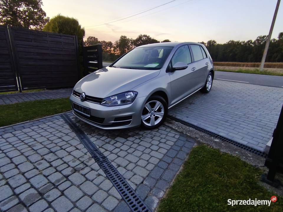 Golf Vll bezwypadkowy opłacony benzyna śląskie Drogomyśl