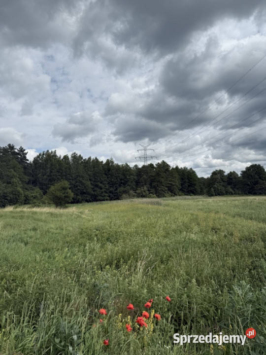 Działka pod zabudowę jednorodzinną w okolicy Nowa Wieś Ełcka