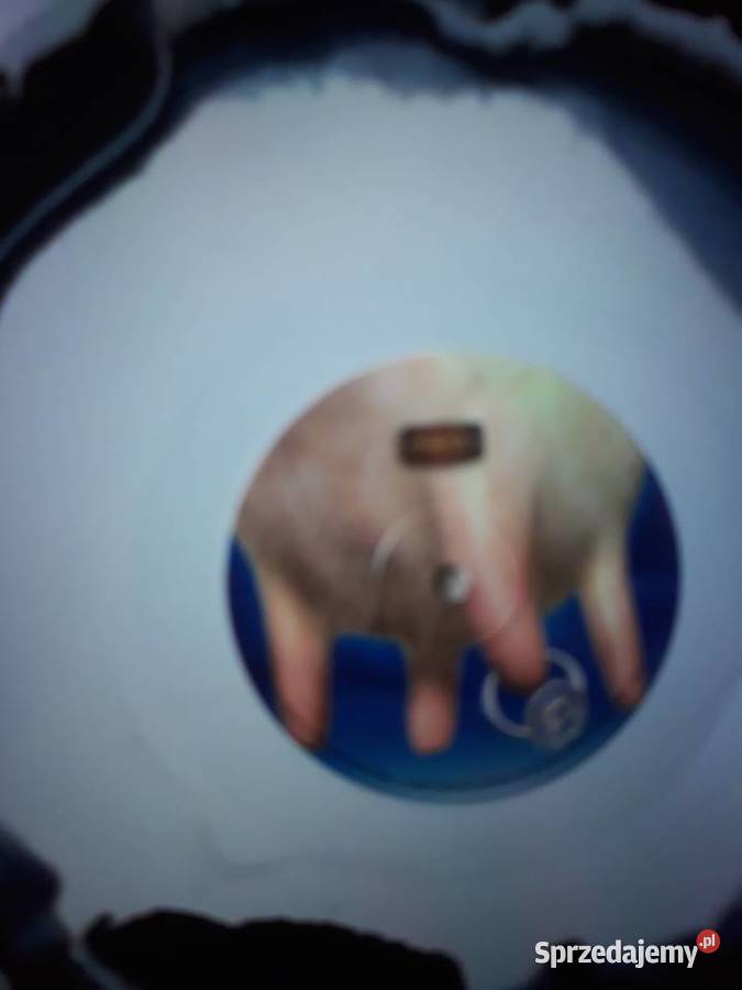 Niezapomniane koncerty GOTTHARD Live in Zurich 2 podkarpackie Rzeszów