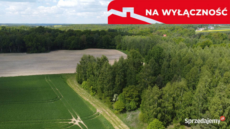 Działka 215 ha z potencjałem koło Nałęczowa polna Chruszczów-Kolonia sprzedam