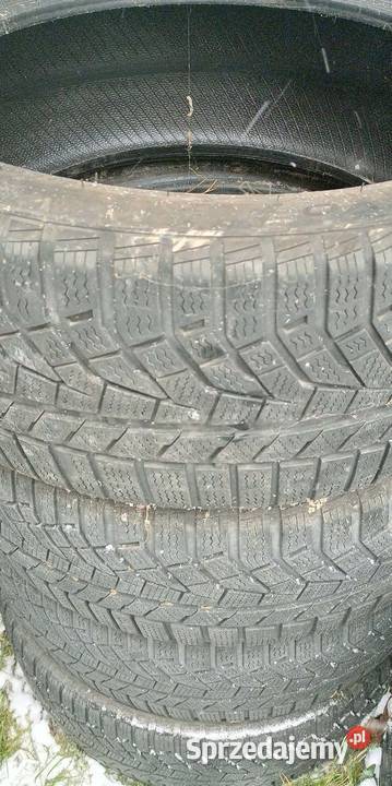 4x zimowe 2454519 102W Sailun ICE BLAZER Alpine Łączna