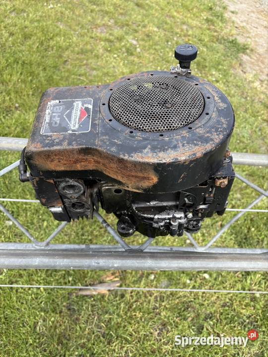 Silnik traktorek kosiarka briggs stratton 8 Walidrogi sprzedam