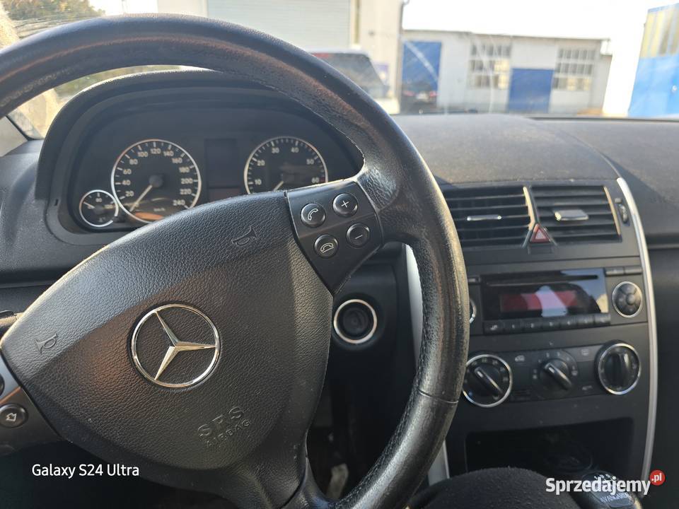 Mały wariat kujawsko-pomorskie sprzedam