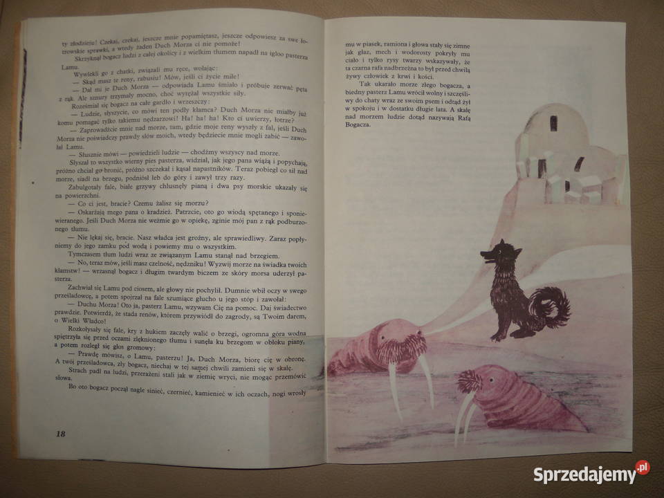 Ranira ze Słonego Jeziora Wanda Markowska Anna Rok wydania 1984 Warszawa