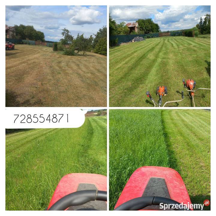 KOSZENIE TRAWY RYKI