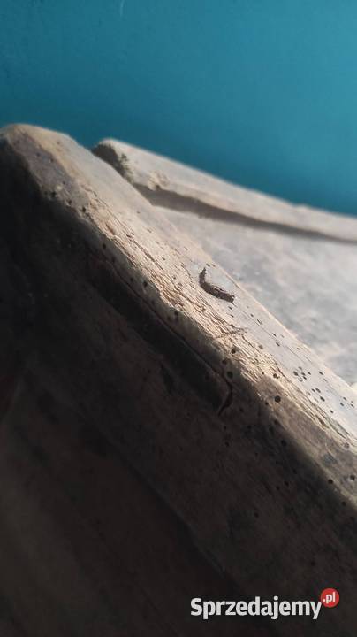 Sprzedam piękny mebel rustykalny skrzynia Antyki podkarpackie