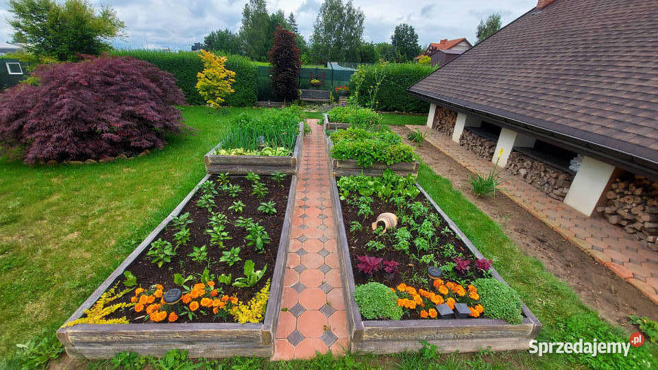 Warzywnik betonowy Skrzynia na warzywa