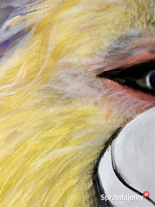 Zbój abstrakcja małpy Duszniki-Zdrój