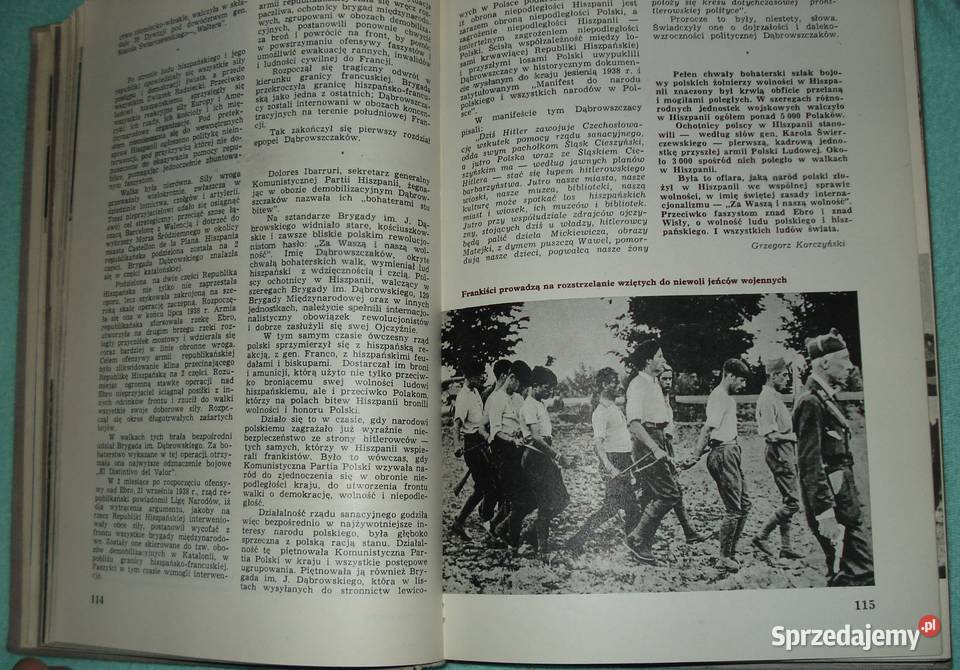 Zbowidowcy mazowieckie