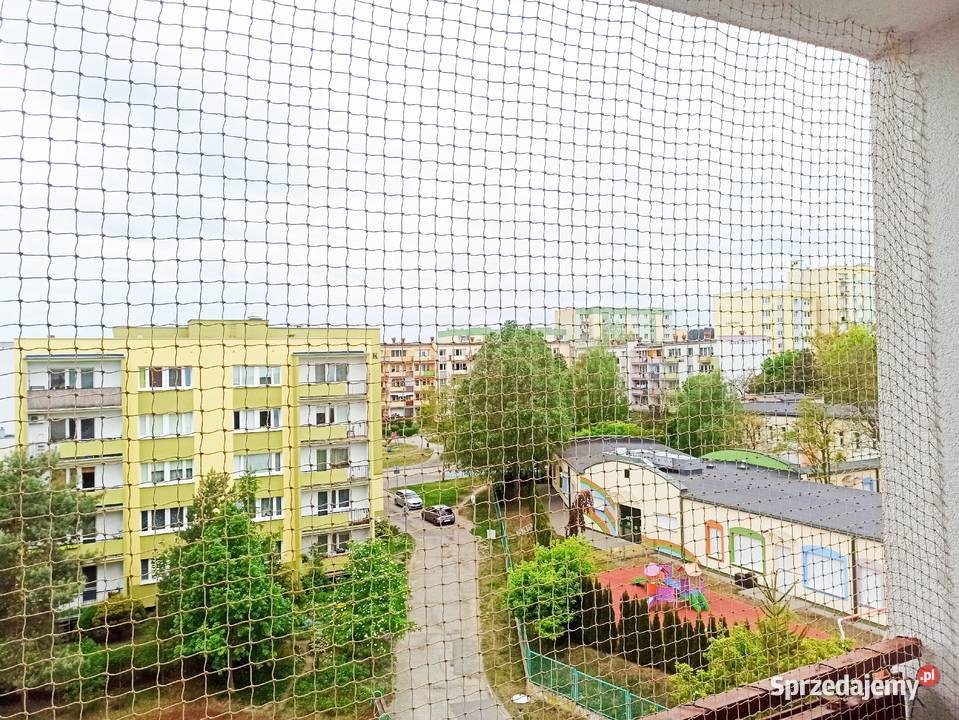 montaż siatki kotów ptaków siatka kujawsko-pomorskie Bydgoszcz