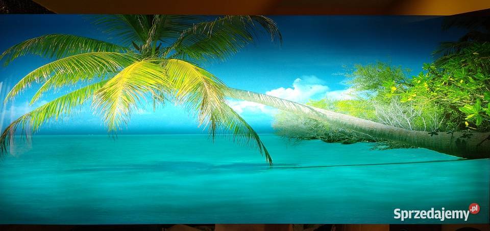 Obraz retro z dźwiękiem świecący 8widoków palmy mazowieckie Legionowo