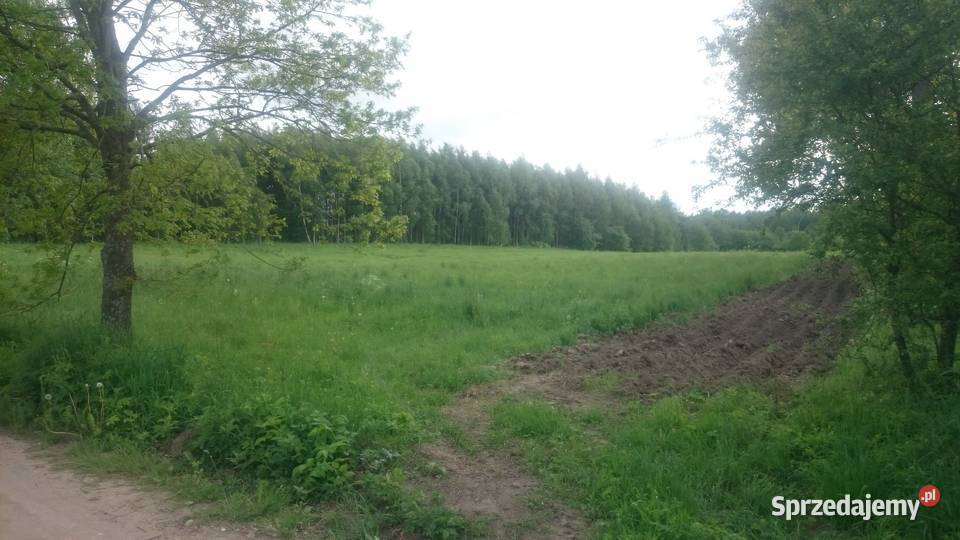 Sprzedam działkę z WZ 4684 mkw na Warmii Krekole Sprzedaż sprzedam