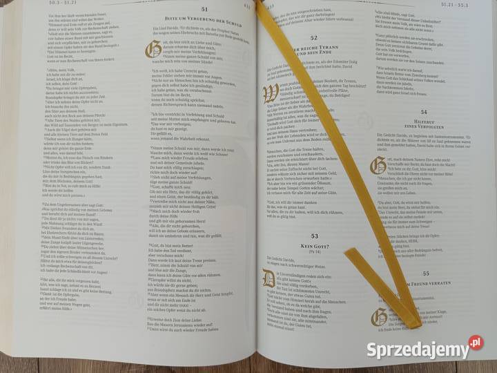 Die Bibel Biblia wysyłka twarda Gdańsk sprzedam