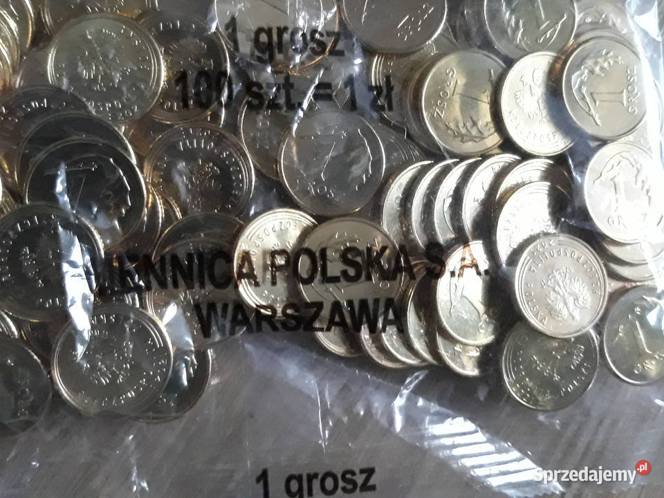 1 Grosz x 100 2021 rmenniczy woreczek Numizmatyka Konin