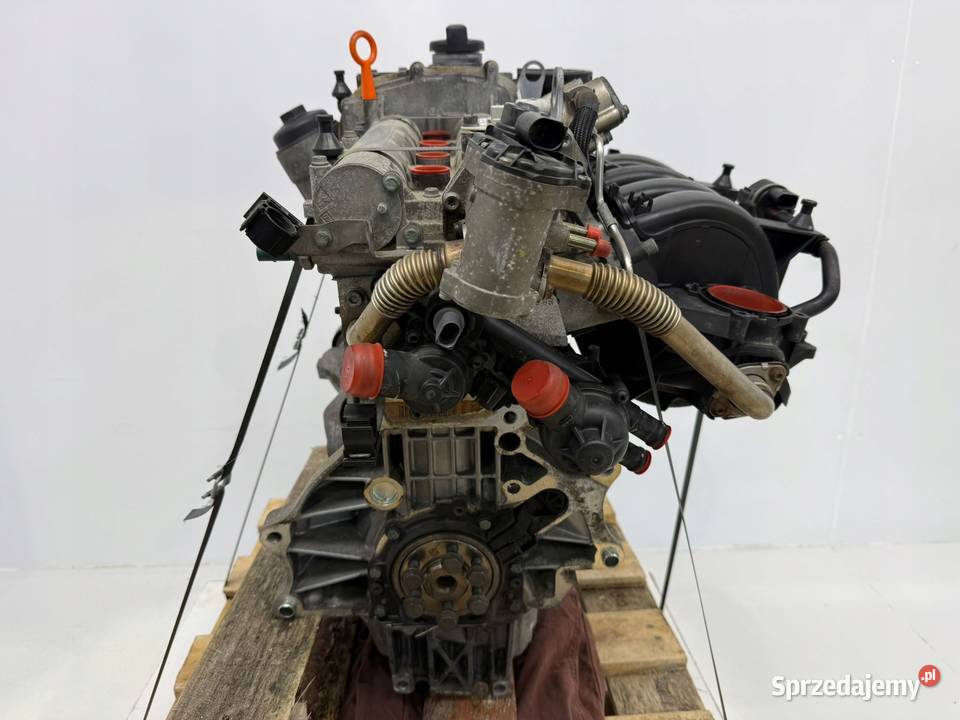 SILNIK BLN VW Golf V Plus 14 FSI 90 benzyna Chełm