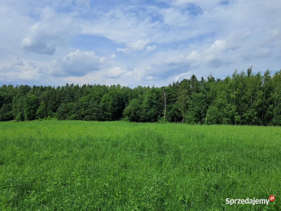 Bajecznie usytuowane siedlisko pod Bychawą Gałęzów